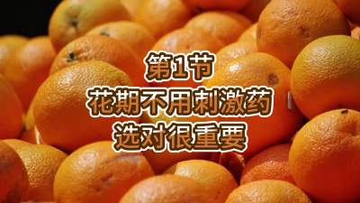 第1节-花期不用刺激药，选对很重要