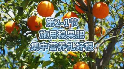 第2-1节-施用稳果肥，集中营养扎好根