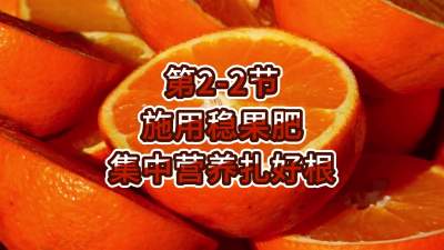 第2-2节-施用稳果肥，集中营养扎好根