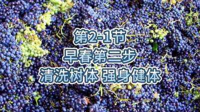 第2-1节-早春第二步-清洗树体，强身健体
