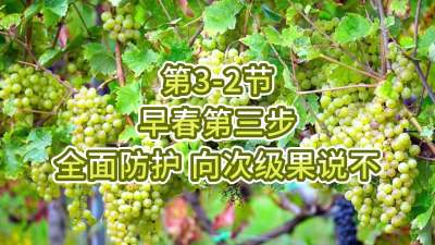 第3-2节-早春第三步-全面呵护，向次级果说不