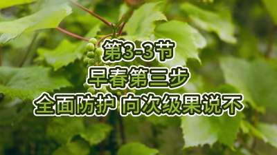 第3-3节-早春第三步-全面呵护，向次级果说不