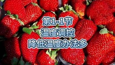 第1-1节-温度调控-降低温度办法多