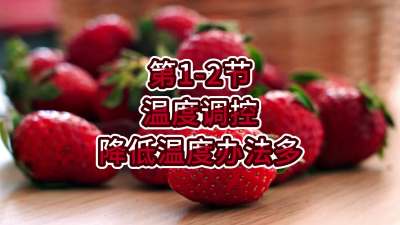 第1-2节-温度调控-降低温度办法多