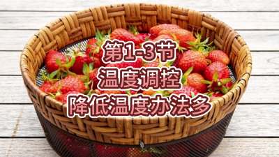 第1-3节-温度调控-降低温度办法多