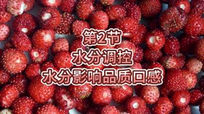 第2节-水分调控-水分影响品质口感