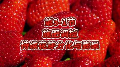 第3-1节-施肥调控-持续花芽分化与膨果