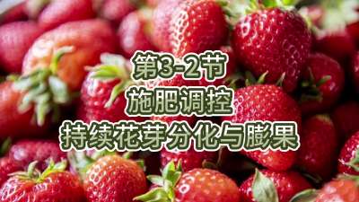 第3-2节-施肥调控-持续花芽分化与膨果