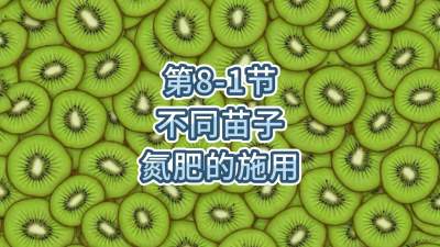第8-1节-不同苗子氮肥的施用