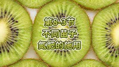 第8-3节-不同苗子氮肥的施用