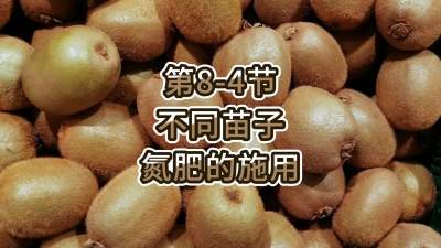 第8-4节-不同苗子氮肥的施用