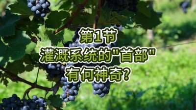 第1节-灌溉系统的&ldquo;首部&rdquo;有何神奇？