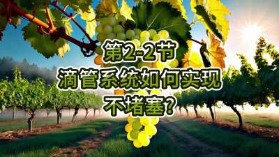 第2-2节-滴管系统如何实现不堵塞？