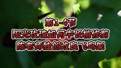 第1-4节-阳光玫瑰如何中长梢修剪&mdash;&mdash;陈老师独创改良飞鸟架