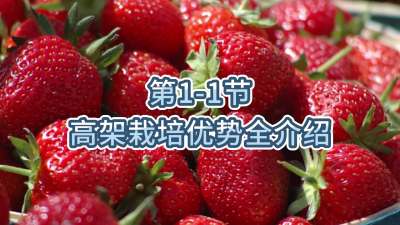 第1-1节-高架栽培优势全介绍