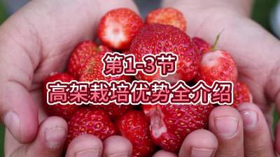 第1-3节-高架栽培优势全介绍