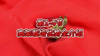 第1-4节-高架栽培优势全介绍