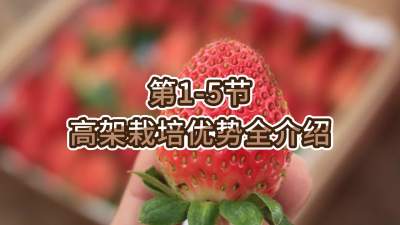 第1-5节-高架栽培优势全介绍