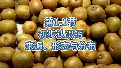 第1-1节-初步认识钙-来源、形态与分布