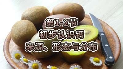第1-2节-初步认识钙-来源、形态与分布