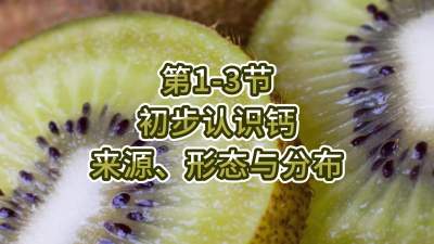 第1-3节-初步认识钙-来源、形态与分布
