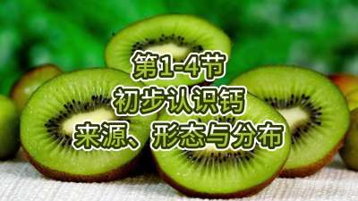 第1-4节-初步认识钙-来源、形态与分布
