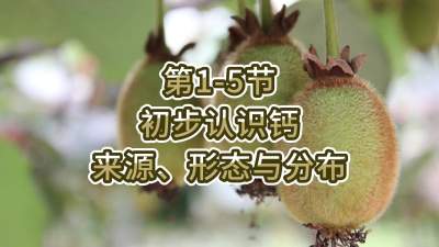 第1-5节-初步认识钙-来源、形态与分布