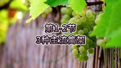 第1-2节-3种主流篱架