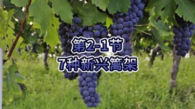 第2-1节-7种新兴篱架