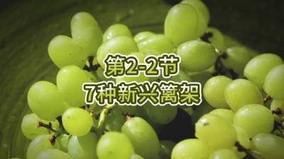 第2-2节-7种新兴篱架