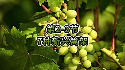 第2-3节-7种新兴篱架