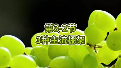 第3-2节-3种主流棚架