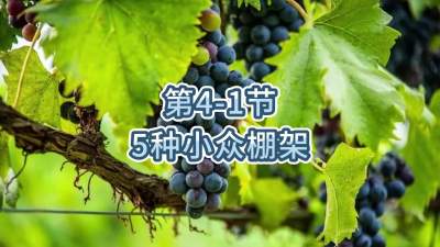 第4-1节-5种小众棚架