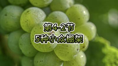 第4-2节-5种小众棚架