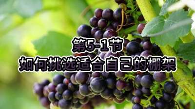第5-1节-如何挑选适合自己的棚架