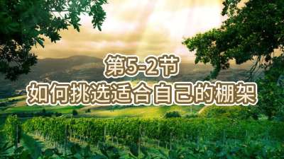 第5-2节-如何挑选适合自己的棚架