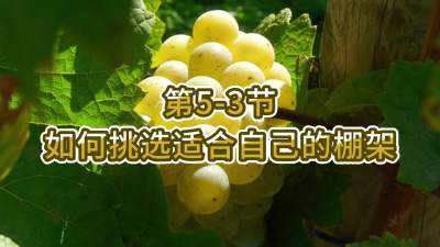 第5-3节-如何挑选适合自己的棚架