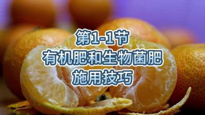 第1-1节-有机肥和生物菌肥施用技巧
