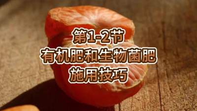 第1-2节-有机肥和生物菌肥施用技巧