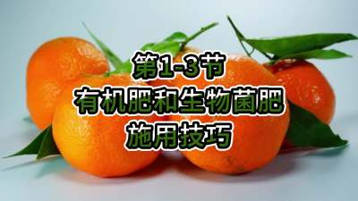 第1-3节-有机肥和生物菌肥施用技巧