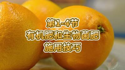 第1-4节-有机肥和生物菌肥施用技巧