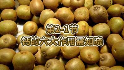 第2-1节-钙的六大作用需知晓