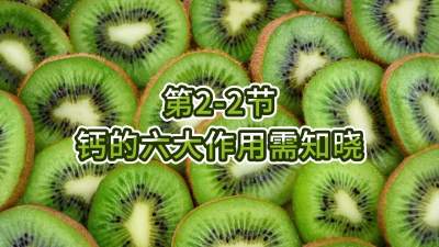 第2-2节-钙的六大作用需知晓