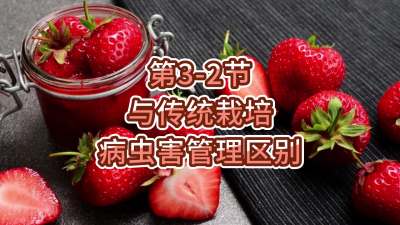 第3-2节-与传统栽培病虫害管理区别