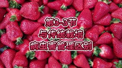 第3-3节-与传统栽培病虫害管理区别