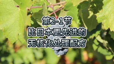 第2-1节-比日本更先进的无核化处理配方