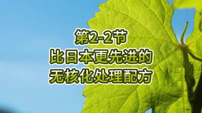 第2-2节-比日本更先进的无核化处理配方