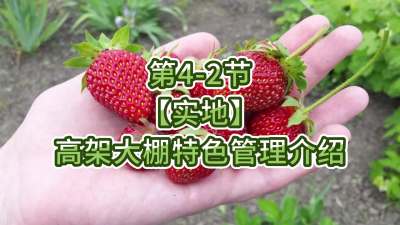 第4-2节-【实地】高架大棚特色管理介绍