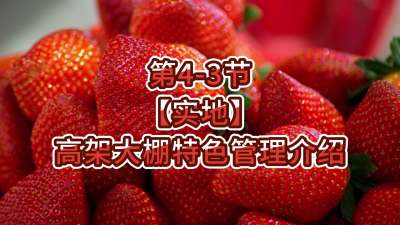 第4-3节-【实地】高架大棚特色管理介绍