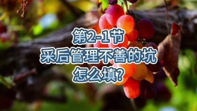 第2-1节-采后管理不善的坑，怎么填？